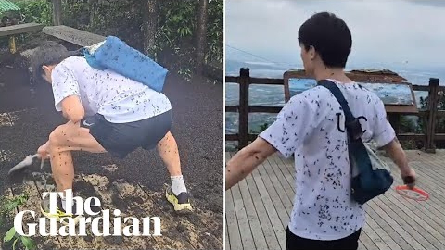 South Korea suffering from 'lovebug' swarm explosion