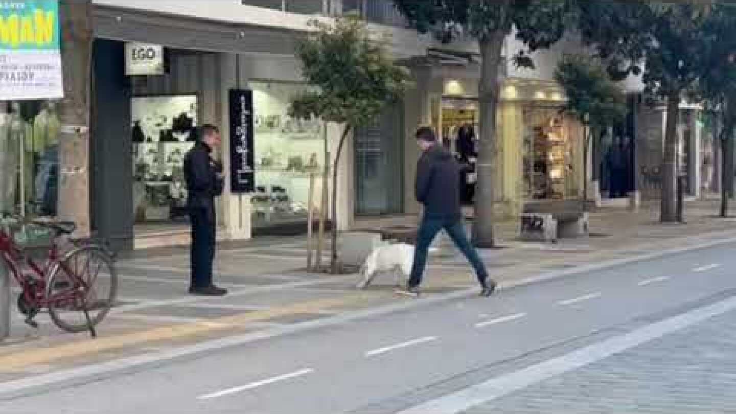 Συναγερμός στις Σέρρες: Απειλή για βόμβα στο πολιτικό γραφείο της Φωτεινής Αραμπατζή