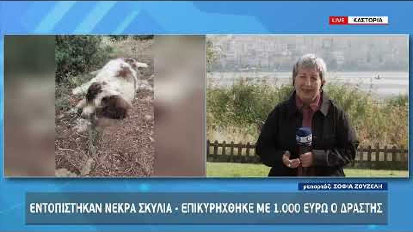 Εντοπίστηκαν νεκρά σκυλιά - Επικηρύχθηκε με με 1.000€ ο δράστης