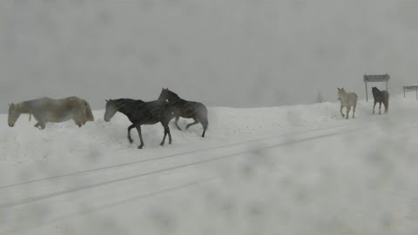 'Επεσαν τα πρώτα χιόνια στην 'Ηπειρο