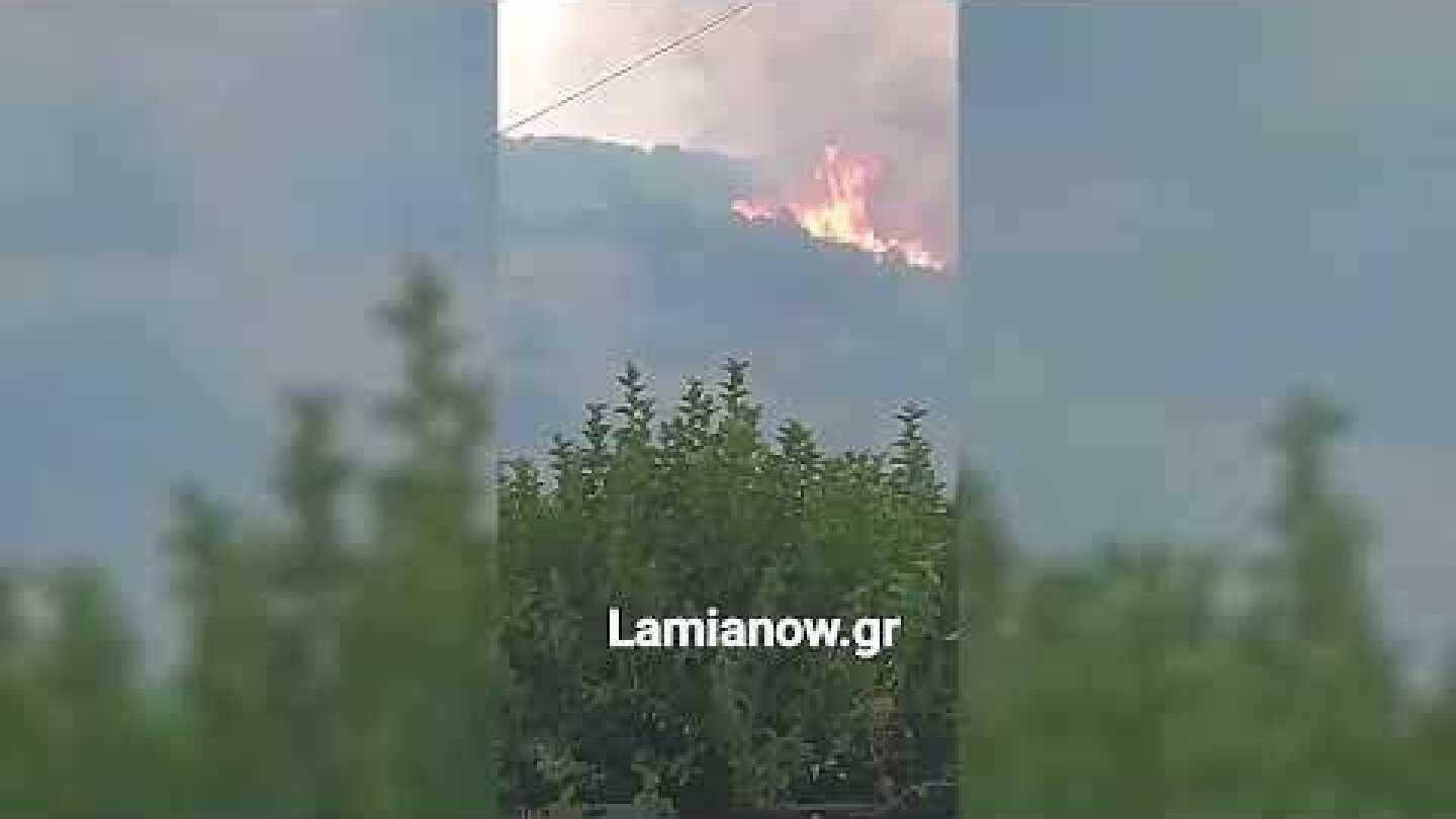 Lamianow.gr : Δύσκολες στιγμές για το χωριό Βιτωλη - η φωτιά σε απόσταση λίγων μέτρων