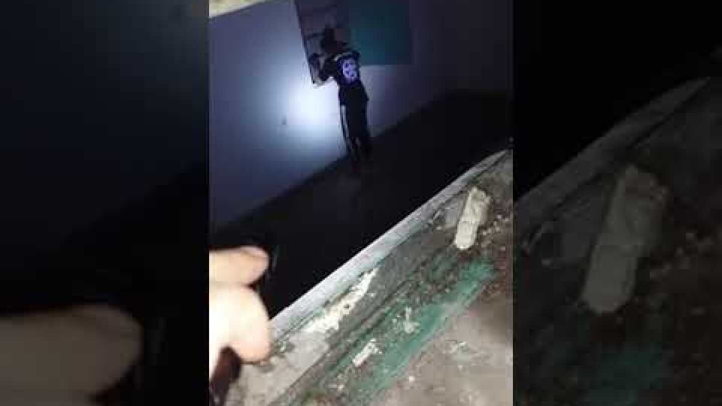 S.T.A.R - SPECIAL TEAM ANIMAL RESCUE ΕΙΔΙΚΉ ΟΜΆΔΑ ΔΙΑΣΩΣΗΣ ΖΏΩΝ