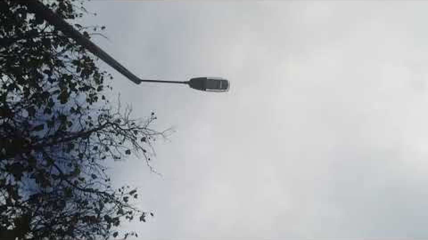 stuart A. staples - A New Real (Official Video)