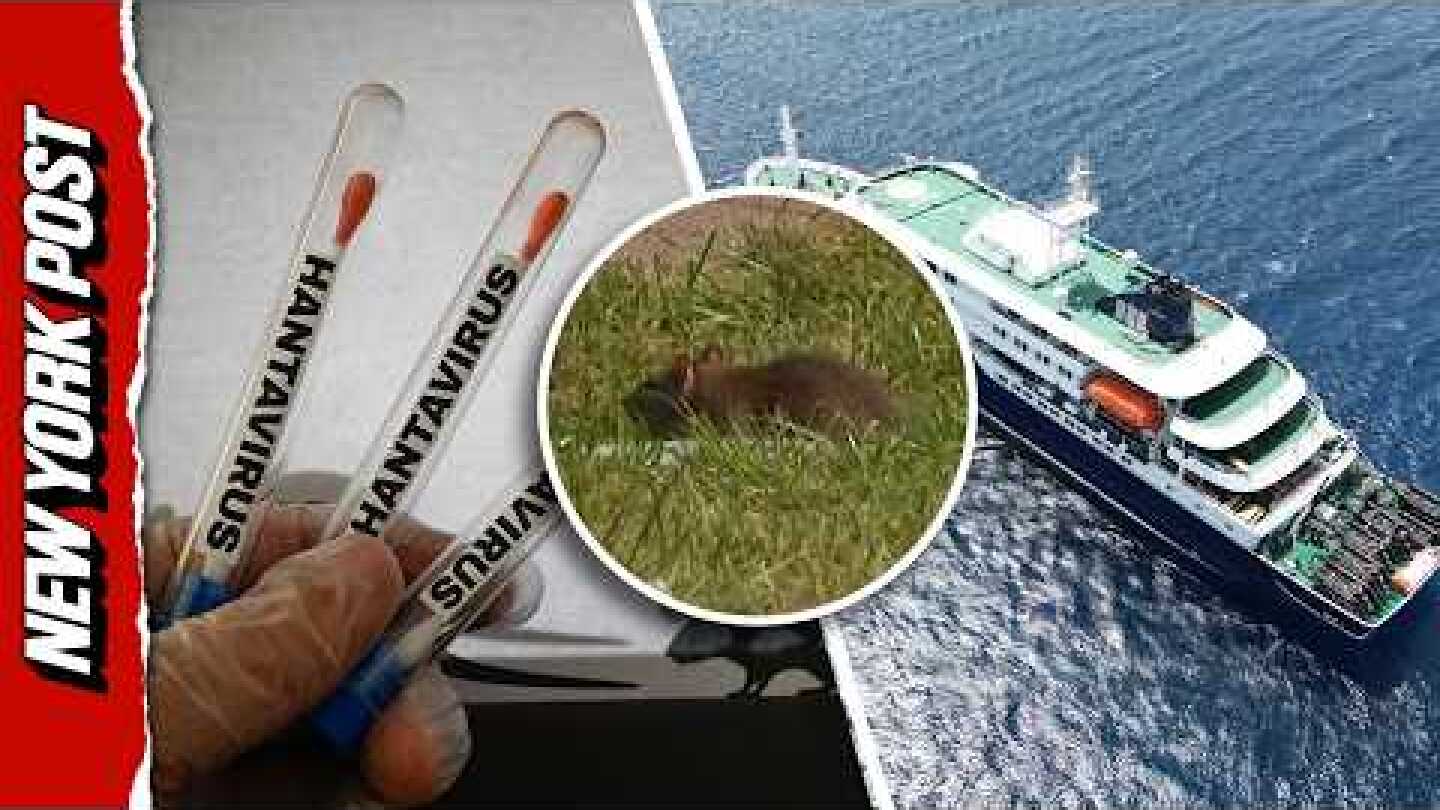 What is Hantavirus? Everything to Know About the Outbreak on the MV Hondius Cruise Ship