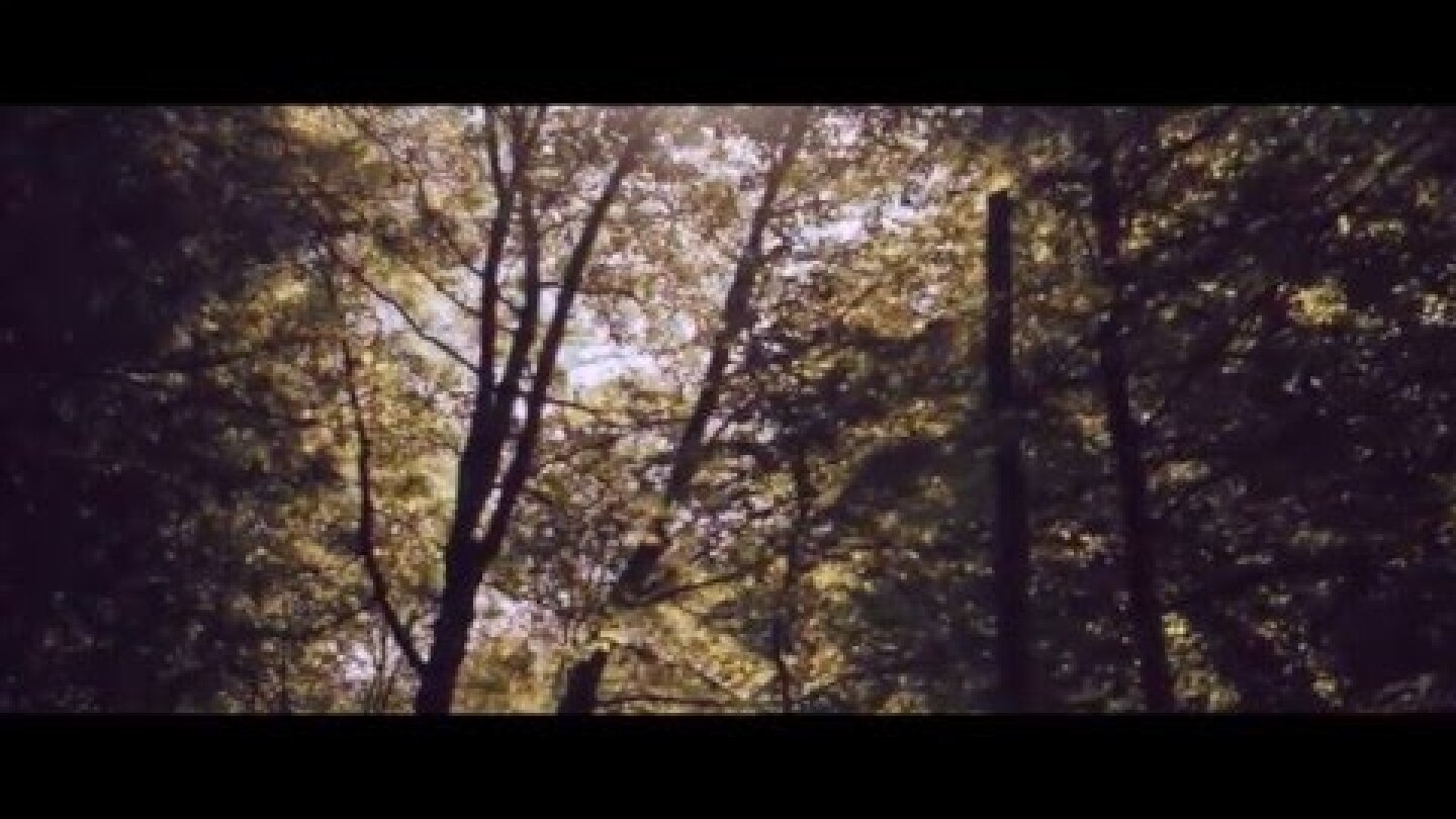 Haring - "All I Can Give" (Official Music Video)