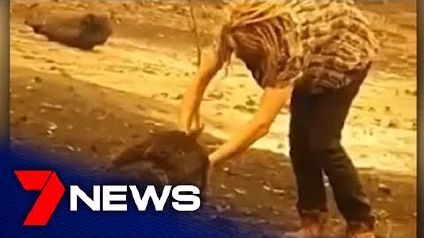 Man shares water bottle with dehydrated kangaroo in Cobargo | 7NEWS