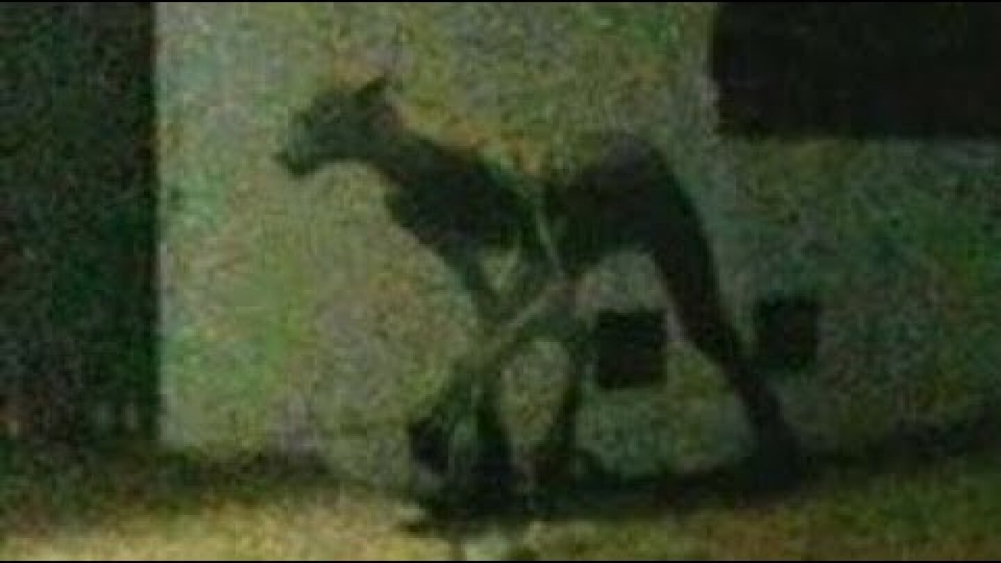 Argentina: Strange Creature Slays Two Dogs in Santa Fe