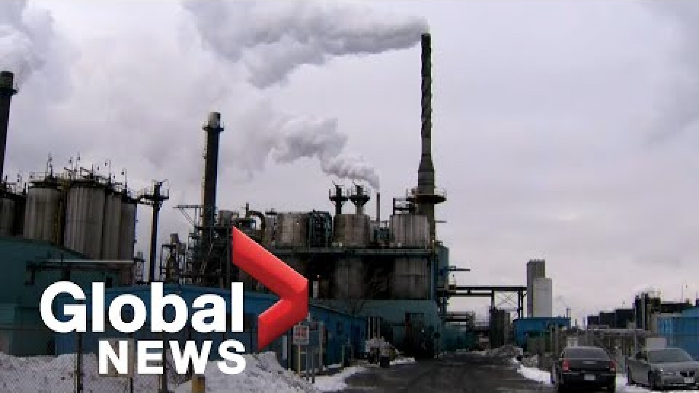 Report estimates more than 8 million deaths globally linked annually to fossil fuel emission