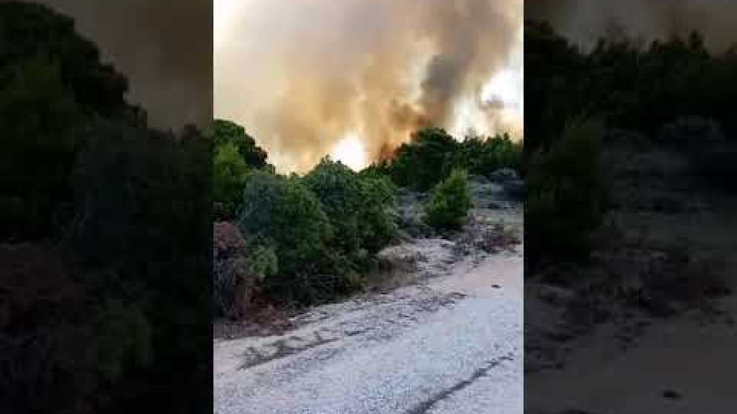 Μεγάλη φωτιά στο Λαύριο – Περιοχή Πουντα Ζεζα – Επί τόπου ο Χαρχαλιάς