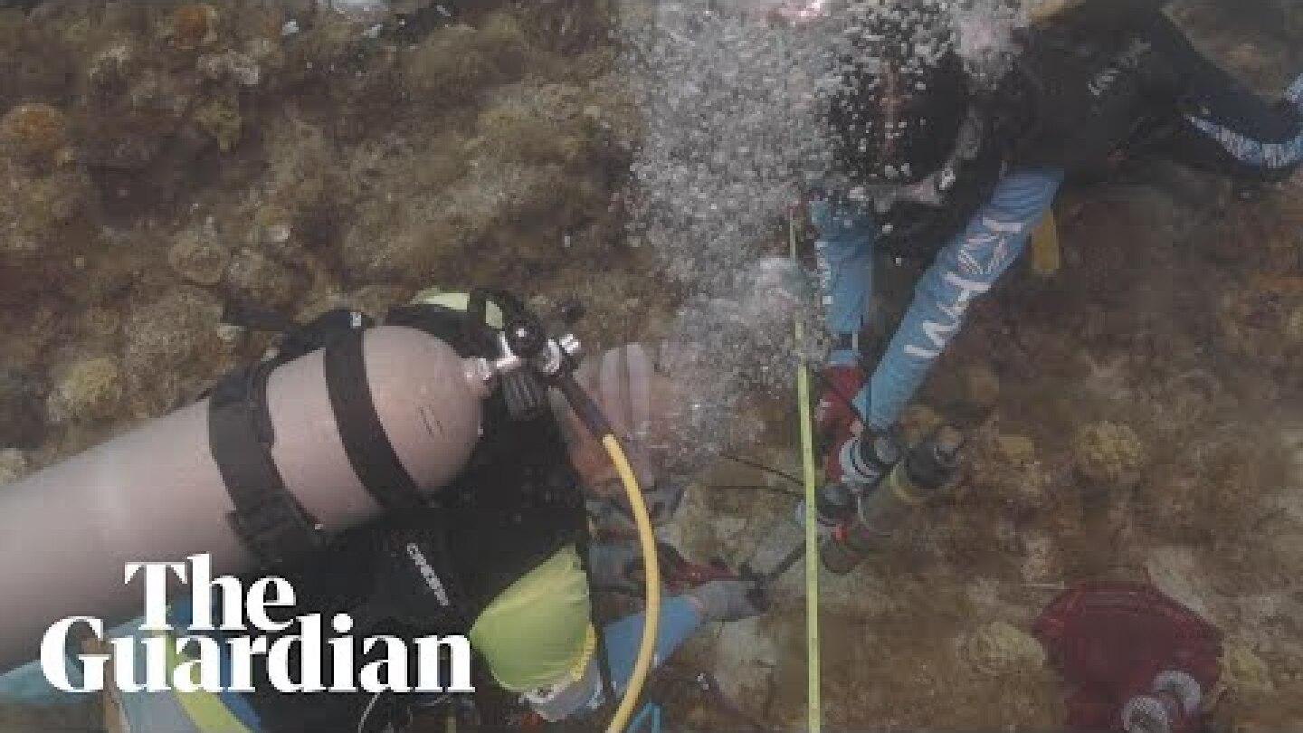 Sound from healthy coral reefs could encourage degraded ones to regenerate, experts say