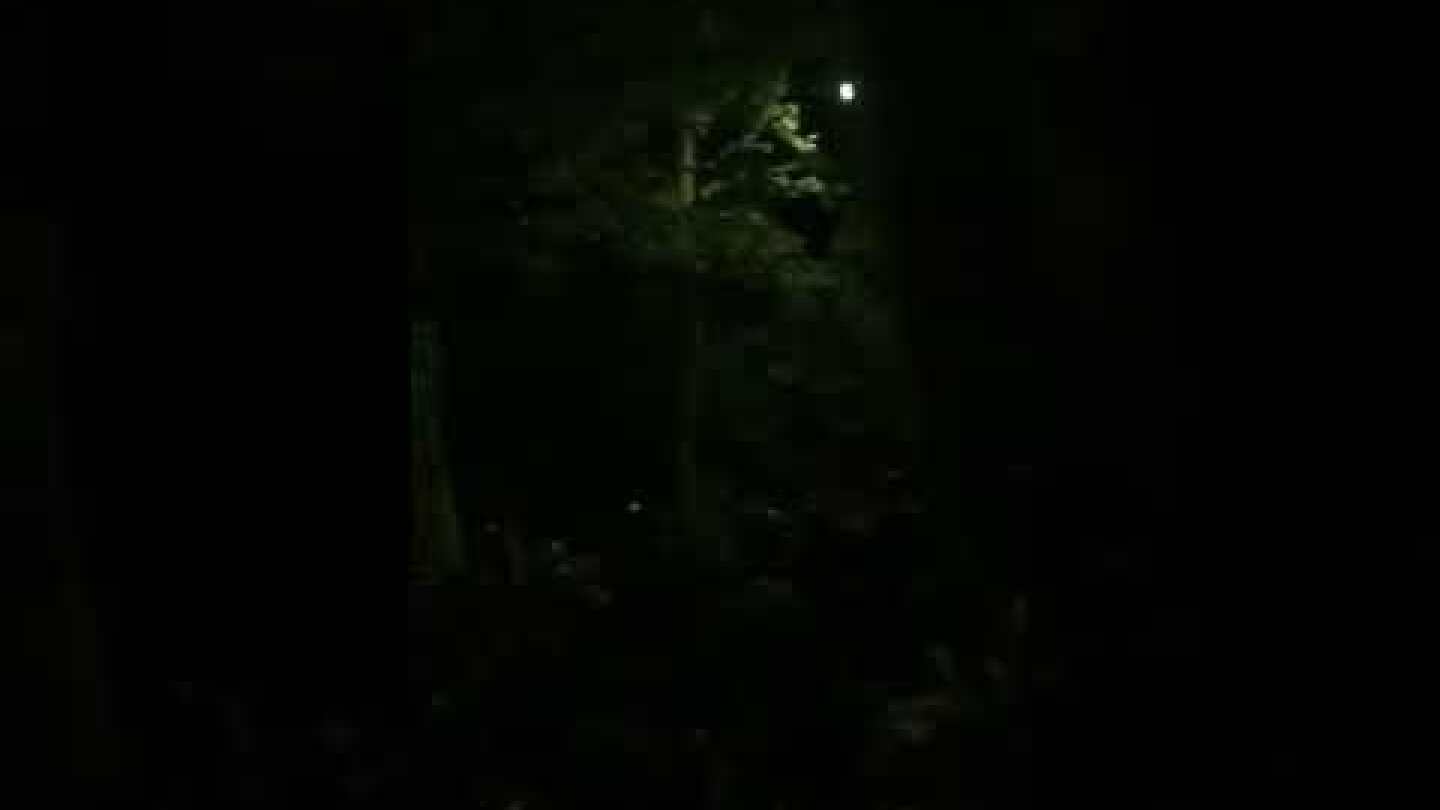 Πάρτι στο ΑΠΘ THESSTODAY.GR