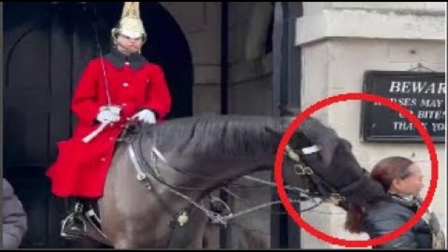 Shocking moment a King's Guard horse clamped down on a woman's ponytail