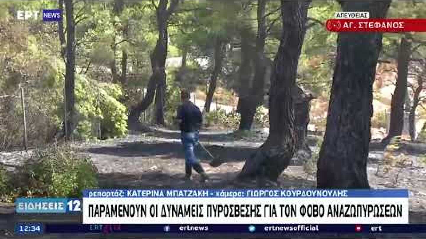 Οδοιπορικό της ΕΡΤ στις καμένες περιοχές της Β.Αττικής | 07/08/2021 | ΕΡΤ