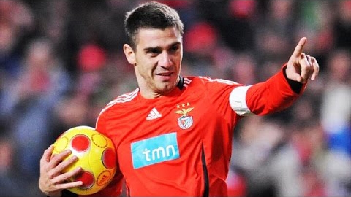 Katsouranis | SL Benfica | All 15 Goals | 2006-2009