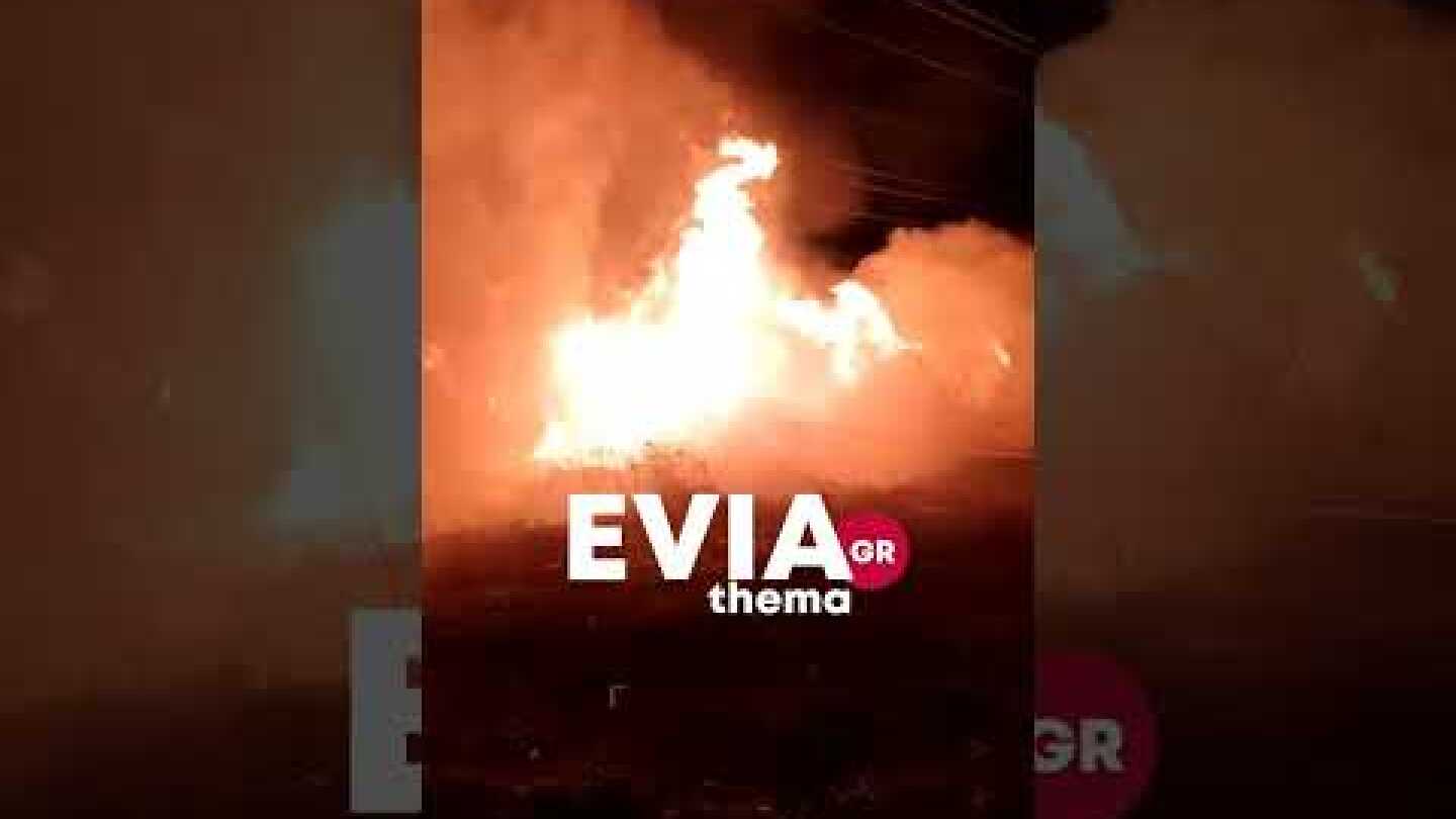 Eviathema.gr - Φωτιά στον Κολοβρέχτη Ψαχνά