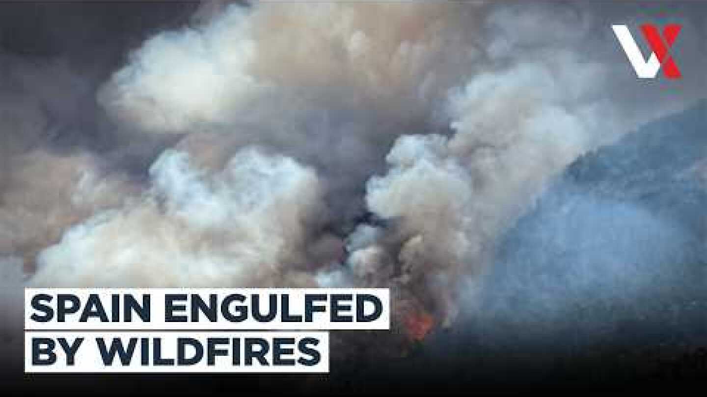Spain Wildfires Rage Amid Europe Heatwave | Massive Blaze Tears Through Forests | VERTEX
