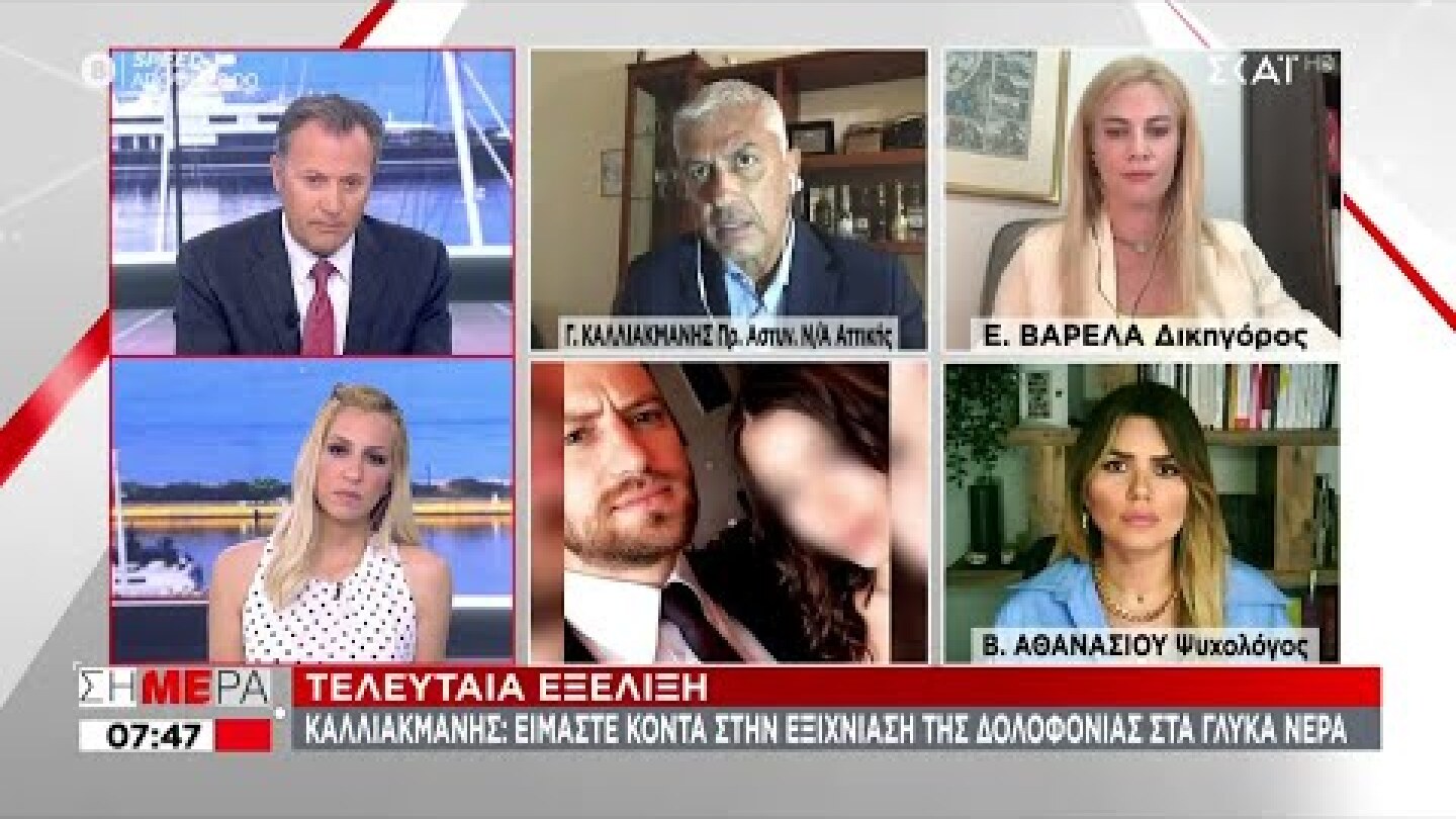 Καλλιακμάνης: Είμαστε κοντά στην εξιχνίαση της δολοφονίας στα Γλυκά Νερά | Σήμερα | 27/05/2021