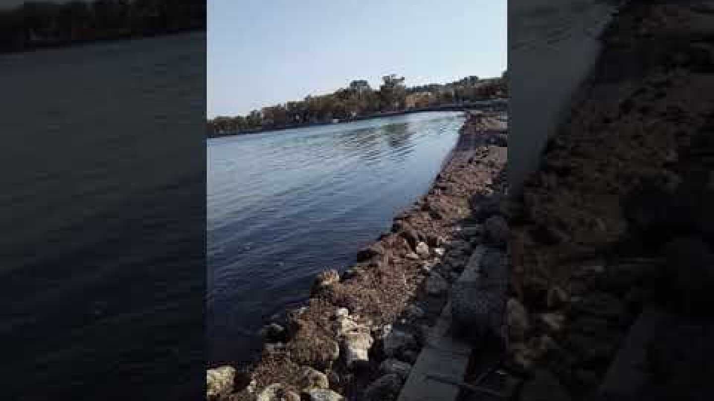 ΑΜΠΩΤΗ ΣΤΗΝ ΚΕΡΚΥΡΑ 7-3-2021