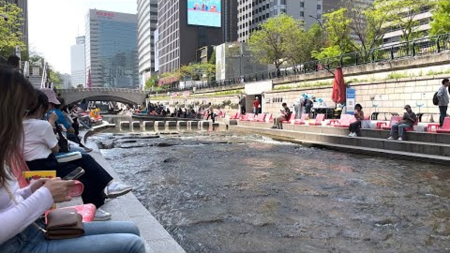 Seoul Outdoor Library at the Cheonggeycheon Stream #seoul #seoulmysoul