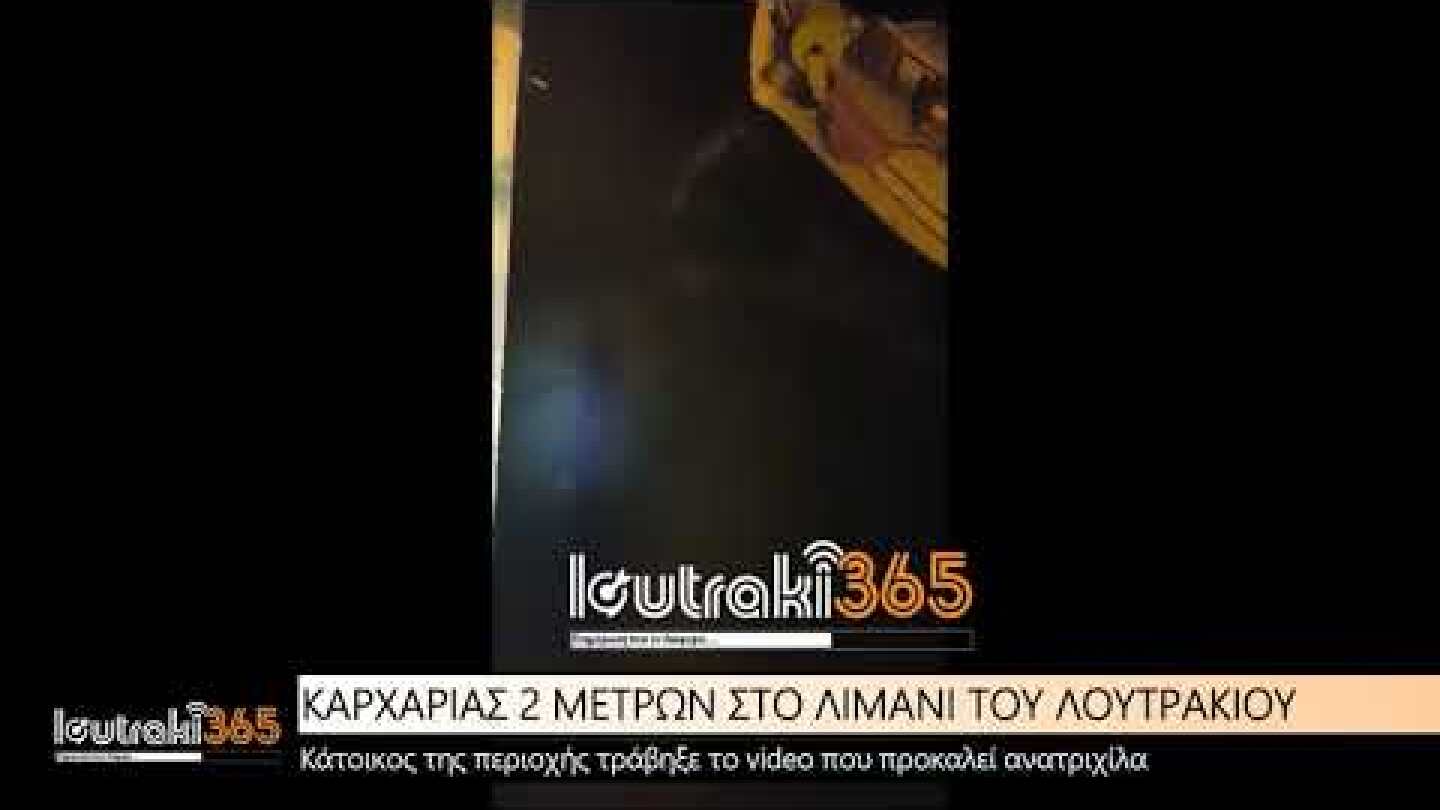 ΣΟΚ! Καρχαρίας στο λιμάνι του Λουτρακίου 1