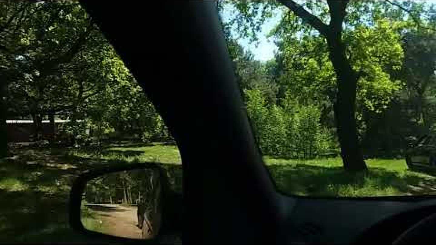 Aanval jachtluipaarden Beekse Bergen het hele verhaal