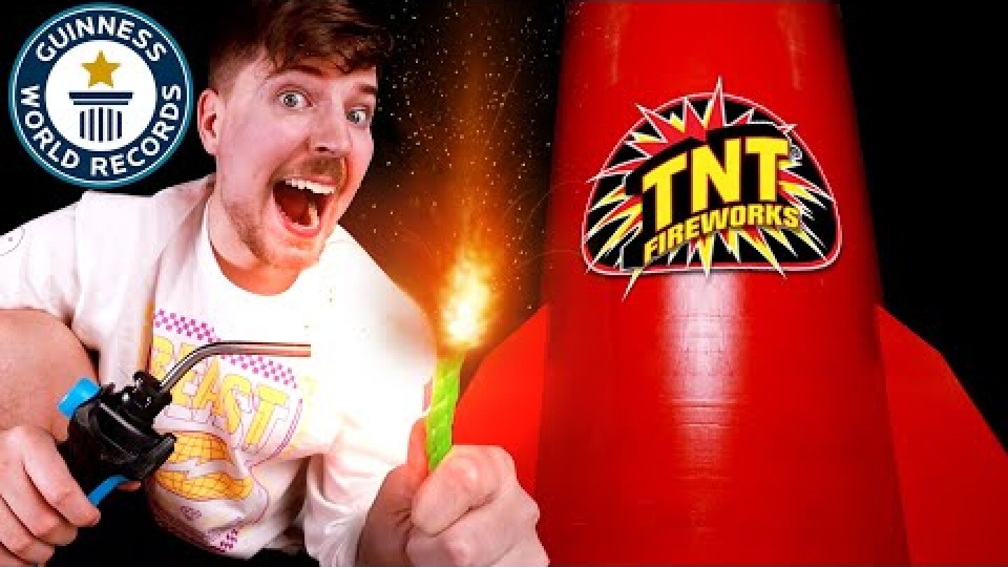 I Bought The World's Largest Firework ($600,000)