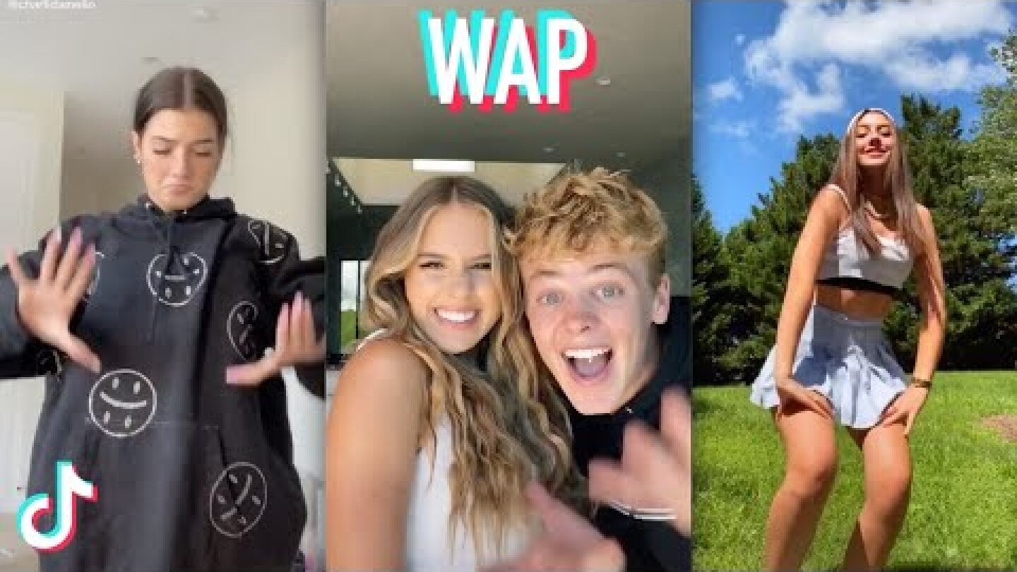 WAP Megan Thee Stallion Verse Dance Challenge - Tik Tok Dance Compilation