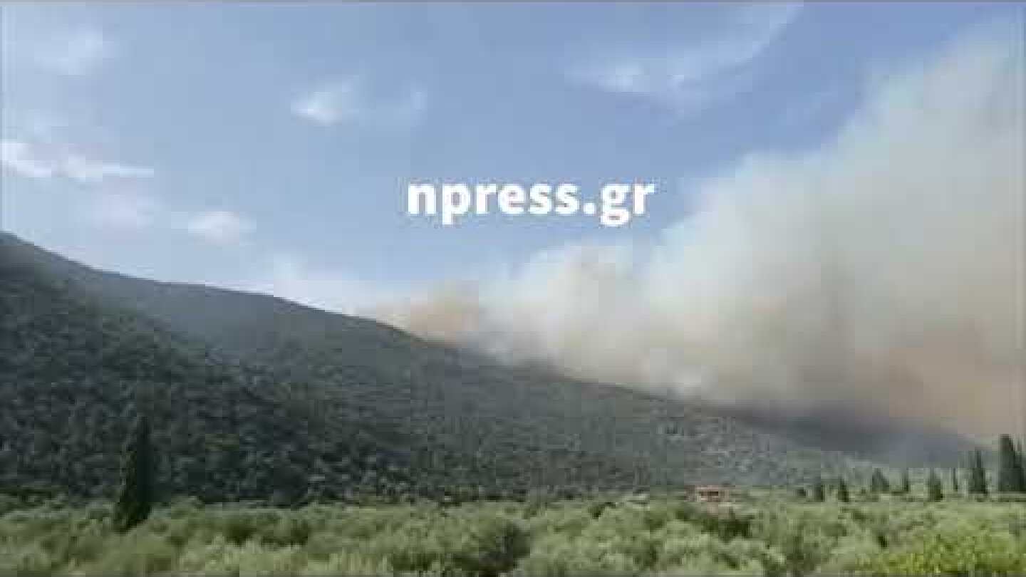 Καίει ανεξέλεγκτα η φωτιά στην Φωκίδα