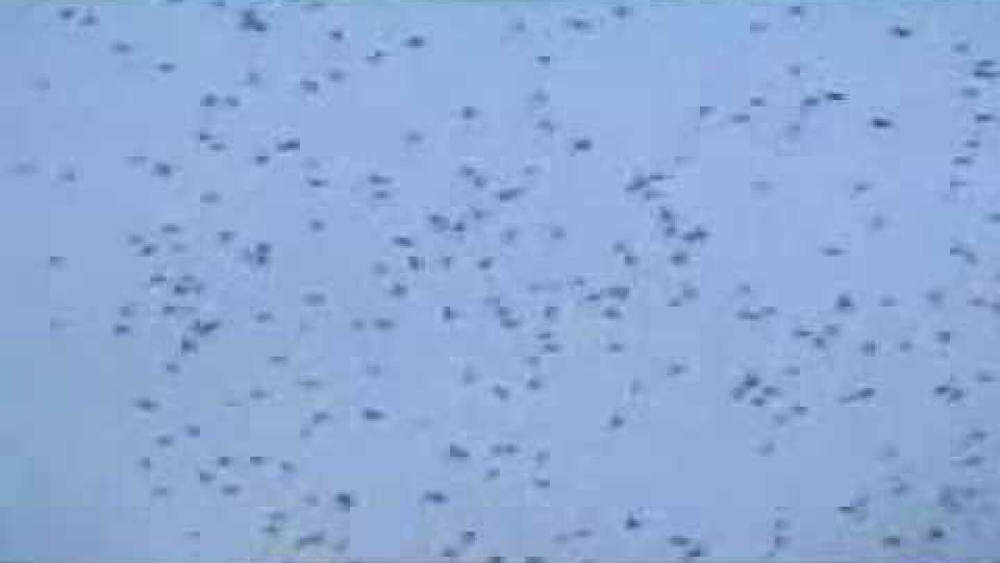 Οι Κεραίες της Εποχής μας- John le Carré (part1/5)