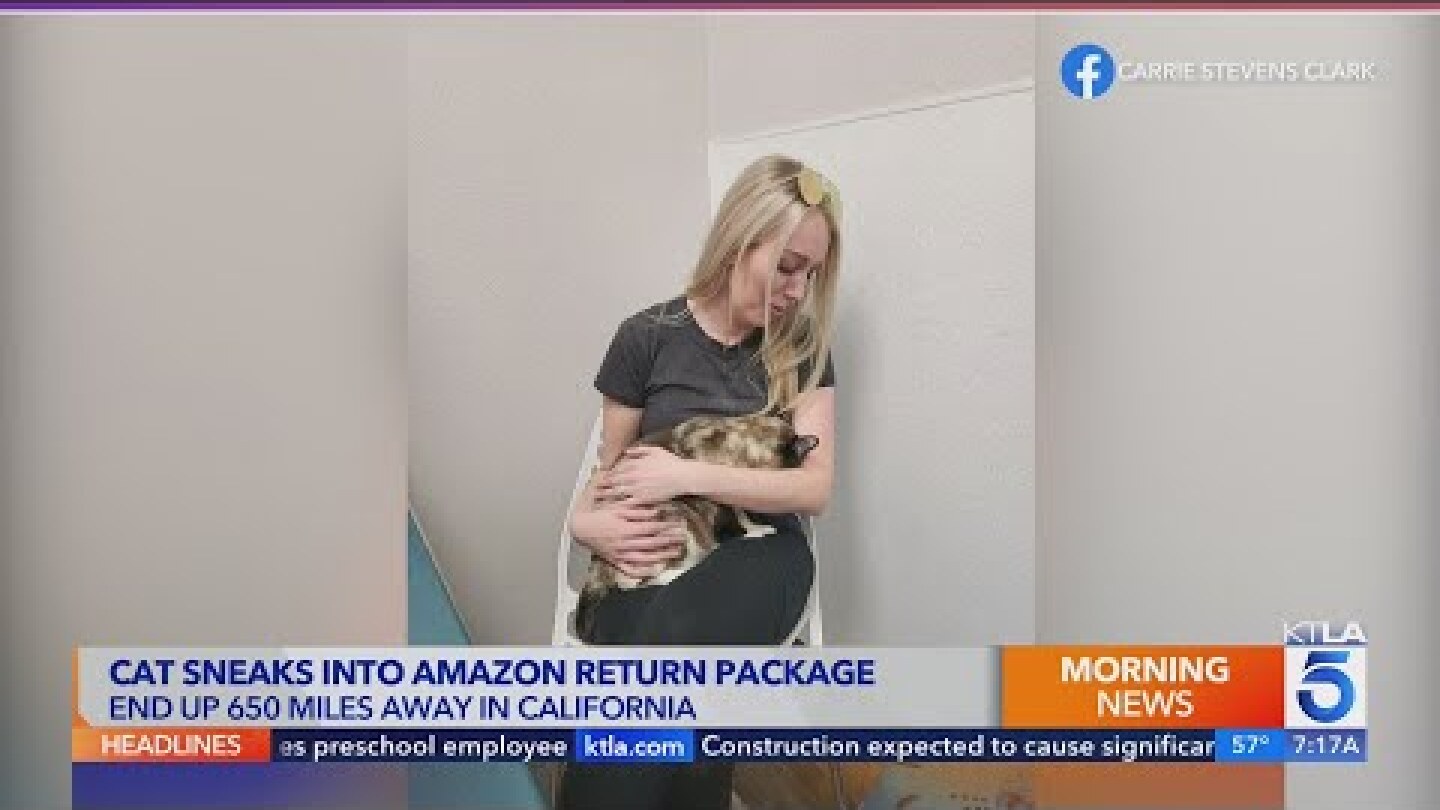 Couple accidentally ships cat from Utah to Southern California in Amazon return package
