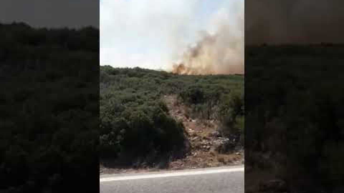 Πυρκαγιά εκδηλώθηκε στο Αραχναίο Ναυπλίου