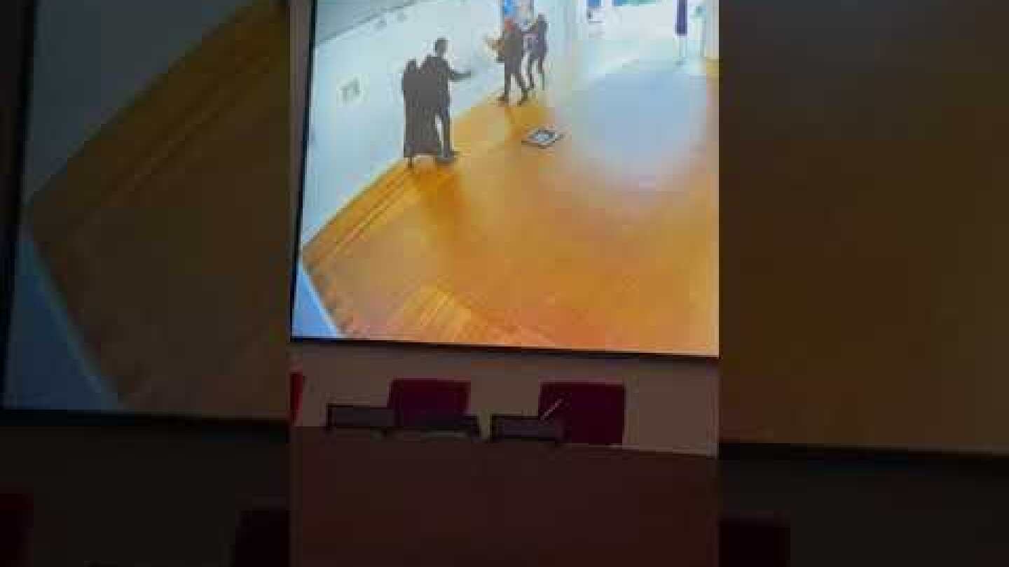 Εθνική Πινακοθήκη: Βίντεο ντοκουμέντο από τη στιγμή που ο Νίκος Παπαδόπουλος βανδαλίζει τα έργα