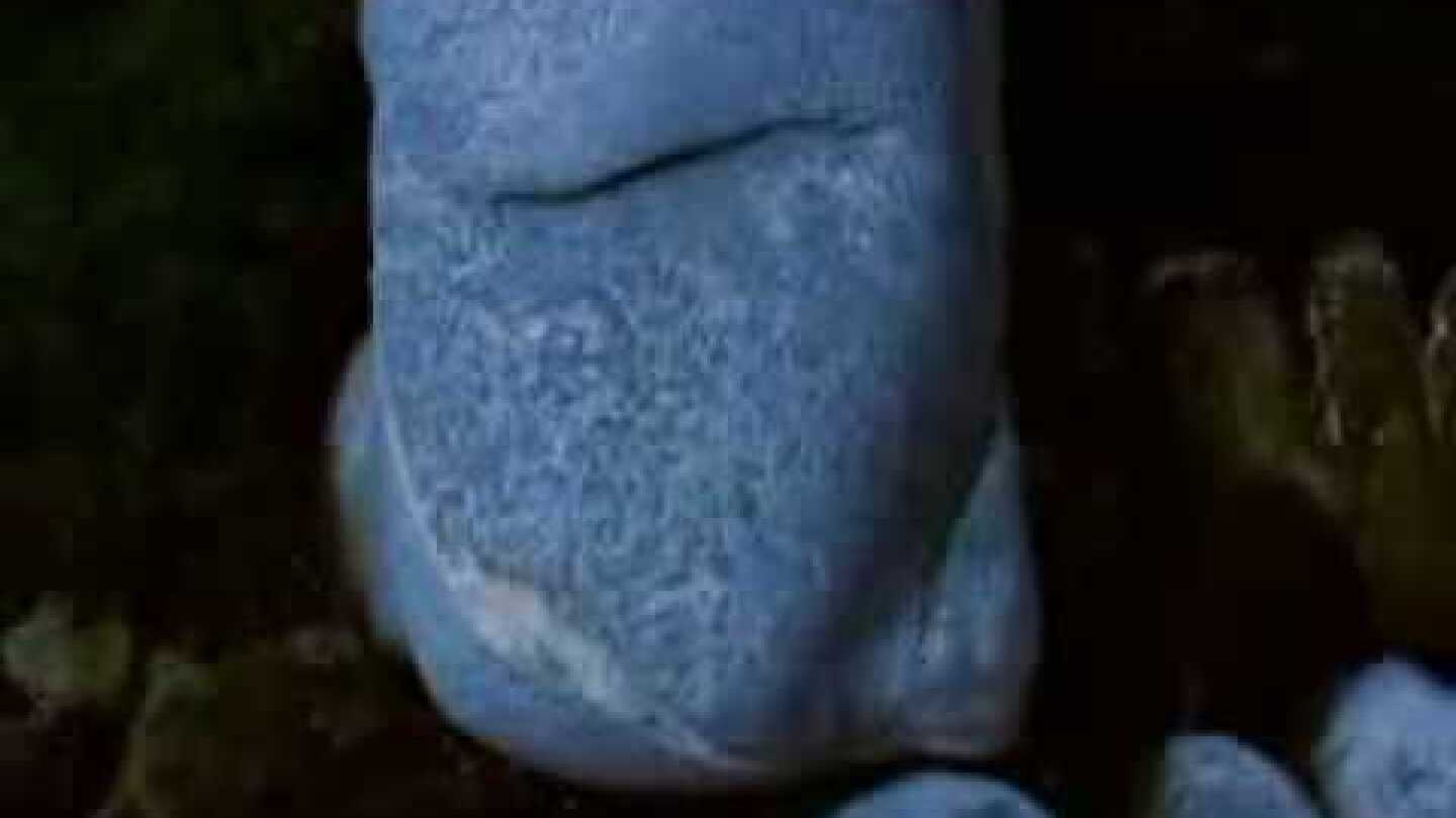 ΤΑΞΙΔΙ ΣΤΟ ΦΩΣ~ΜΟΥΣΙΚΗ: ΒΑΣΩ ΑΛΛΑΓΙΑΝΝΗ SVARNO