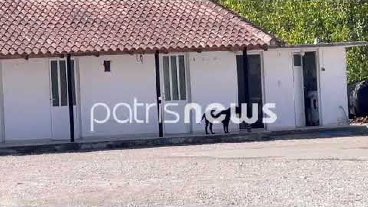 Εφύρα - Εικόνες από το σημείο που βρέθηκε νεκρός ο 68χρονος