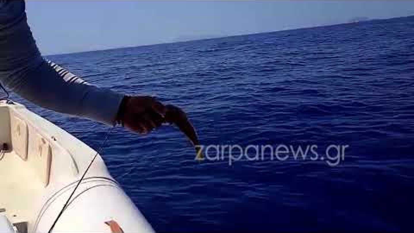 Γαλάζιος καρχαρίας πάνω από τρία μέτρα ανοιχτά των Κυθήρων