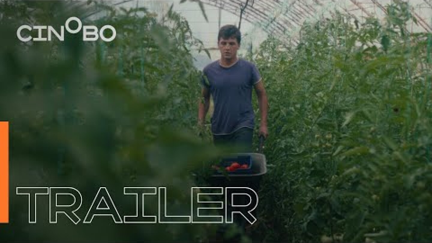 Θερμοκήπιο (Greenhouse) Trailer | GR Subs | Cinobo