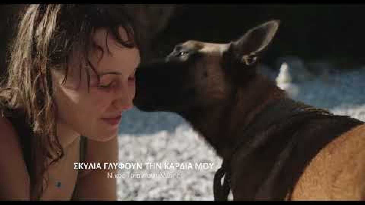 #DISFF46 OFFICIAL TRAILER | ΕΣΩΤΕΡΙΚΟ - ΣΤΟΧΑΣΜΟΣ