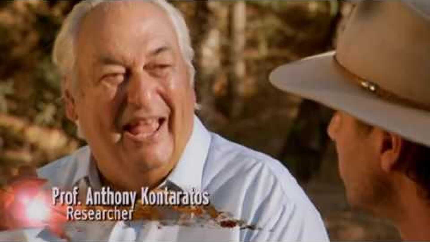 Ο ΚΟΝΤΑΡΑΤΟΣ ΚΑΙ Η ΘΗΡΑ ΤΟΥ ΦΕΓΓΑΡΙΟΥ