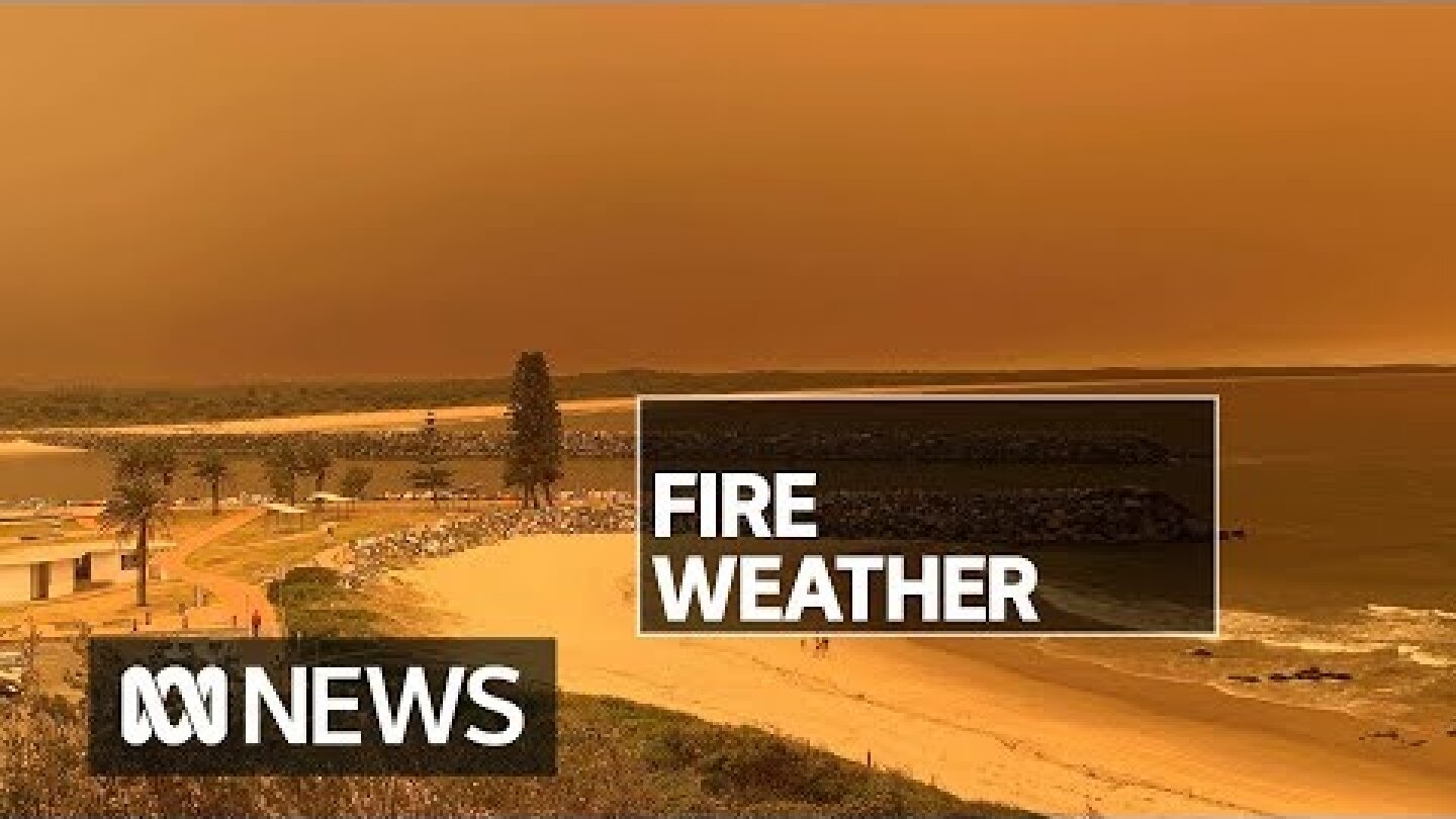 'Very dangerous' fire weather conditions affecting NSW | ABC News
