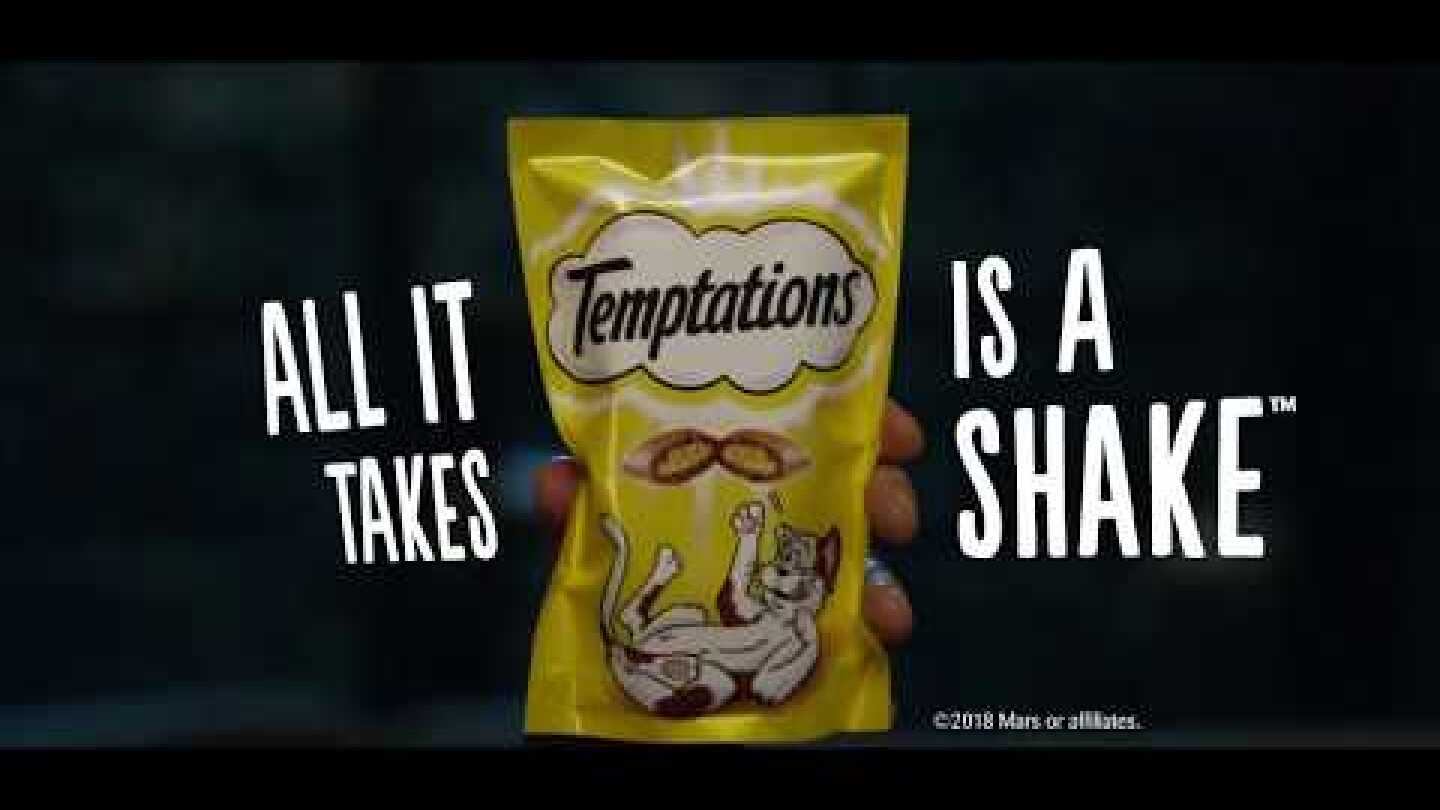Temptations   All it Takes is a Shake