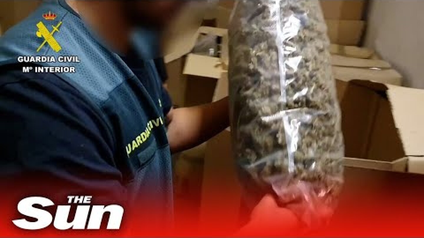 Spanish police seize largest amount of marijuana ever worth €64M