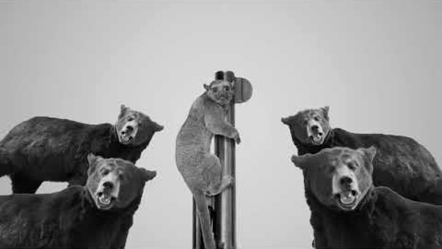 In the Middle of the Night - Alan Bishop (The Sea Between My Soul)