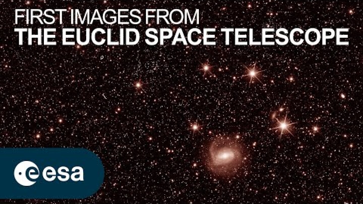 Euclid's first images: the dazzling edge of darkness