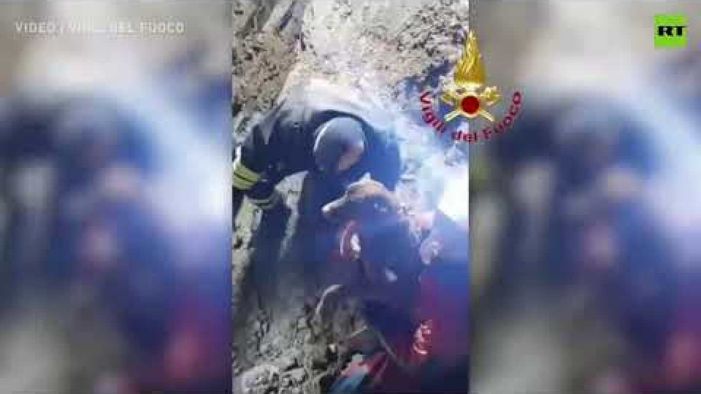 Dogs trapped in a quarry for more than 30 hours rescued by firefighters in Italy