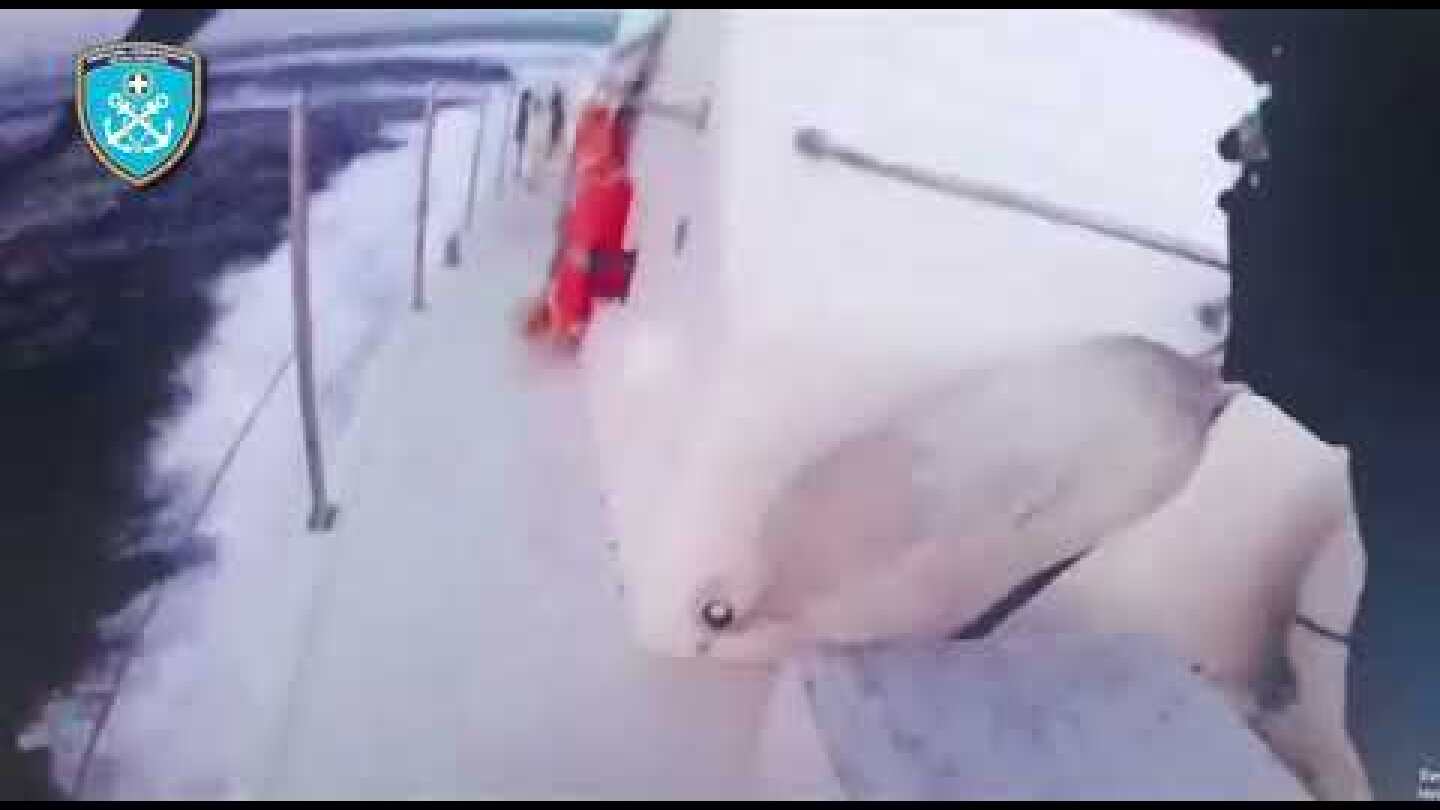 Εντοπισμός , καταδίωξη και σύλληψη αλλοδαπών και του αλλοδαπού διακινητή τους στην Κω