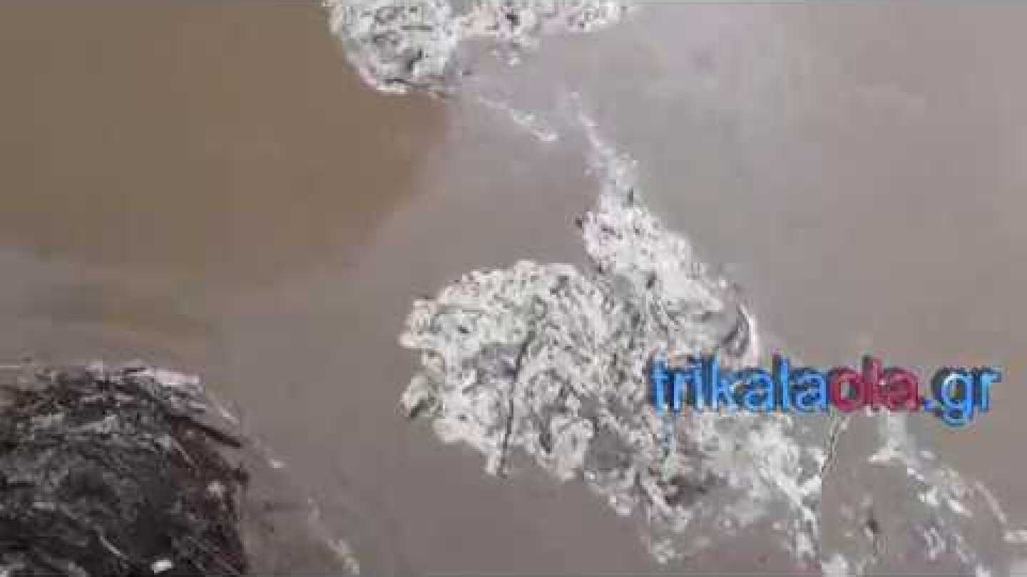 Πηνειός ποταμός ξεριζώνει δέντρα κατεβάζει μεγάλη ποσότητα νερού πλημμυρίζει Πέμπτη 16-11-2017