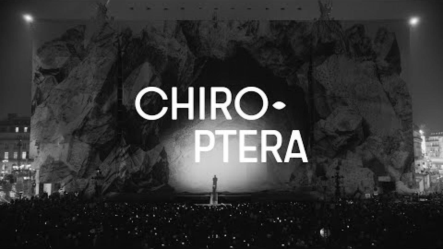 "Chiroptera", a collaborative project