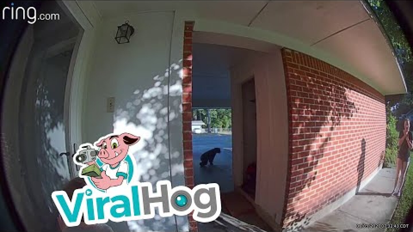 Boy Has Unexpected Encounter With a Bear || ViralHog