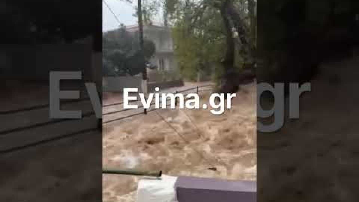Ξεχείλισε ο ποταμός στη Μακρυκάπα Ευβοίας
