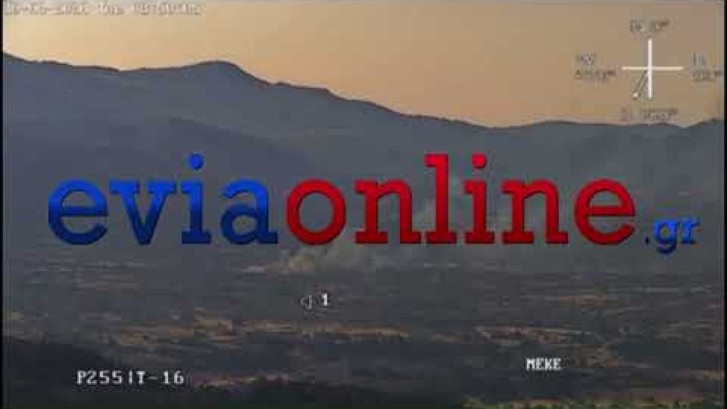 Εύβοια: Φωτιά στη Στενή